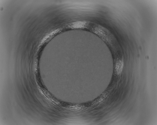 X0000085040732200703191232