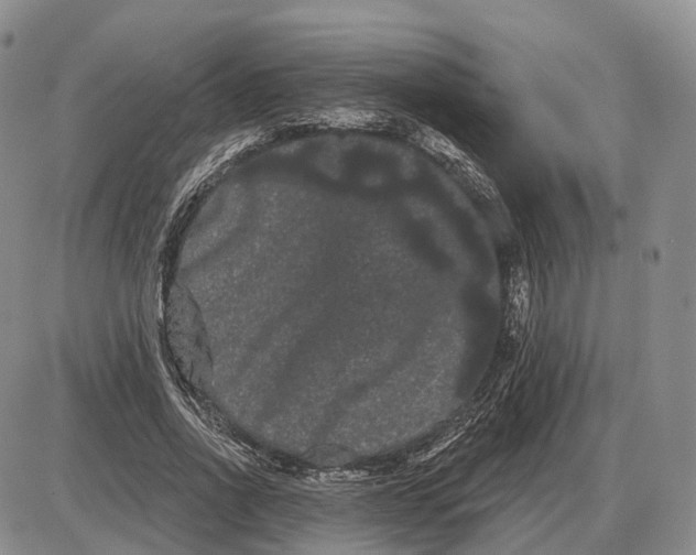 X0000085040734200703191232