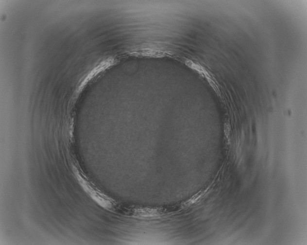 X0000085040735200703191232