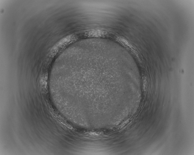 X0000085040737200703191232