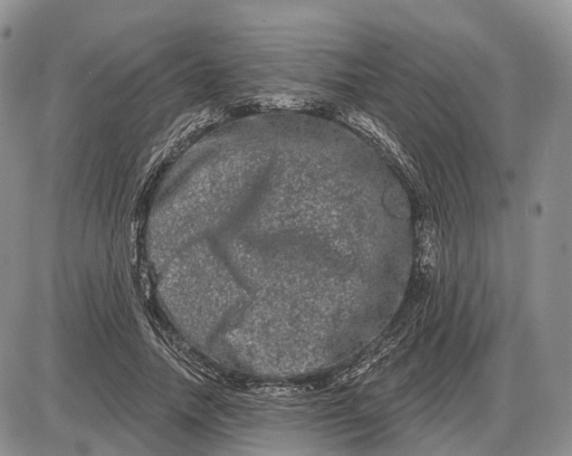 X0000085040738200703191232