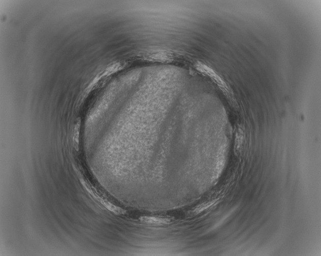 X0000085040739200703191232