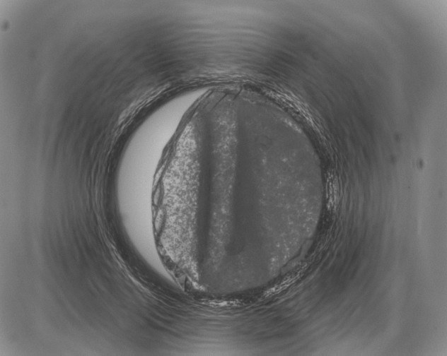 X0000085040740200703191232