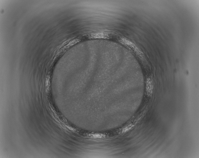 X0000085040741200703191232