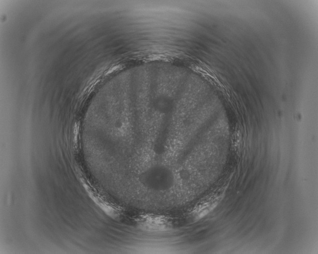 X0000085040742200703191232