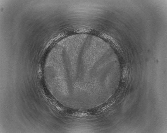 X0000085040743200703191232