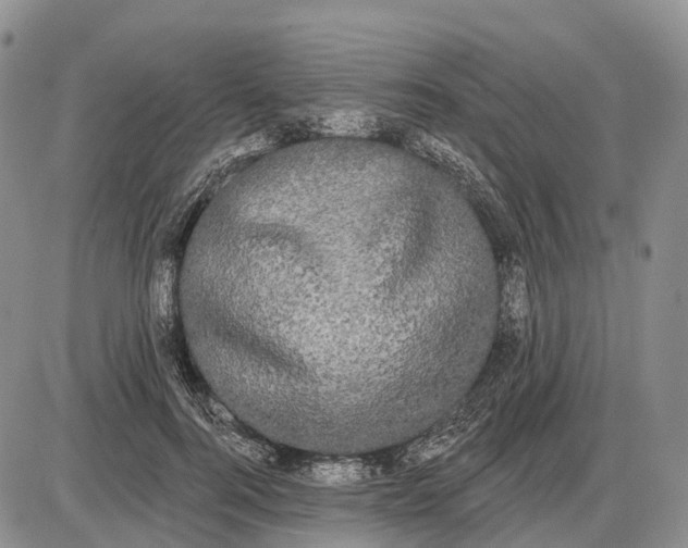 X0000085040744200703191232