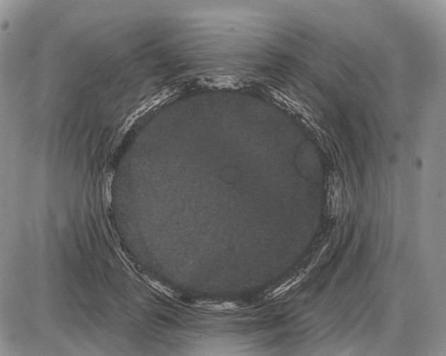 X0000085040747200703191232