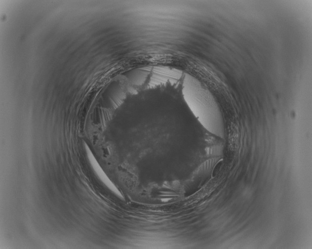 X0000085040748200703191233