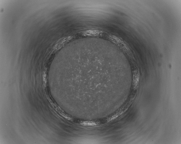 X0000085040749200703191233