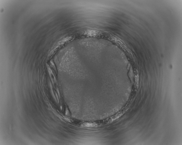 X0000085040750200703191233