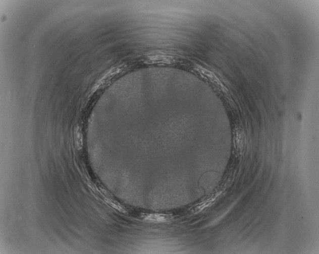 X0000085040751200703191233