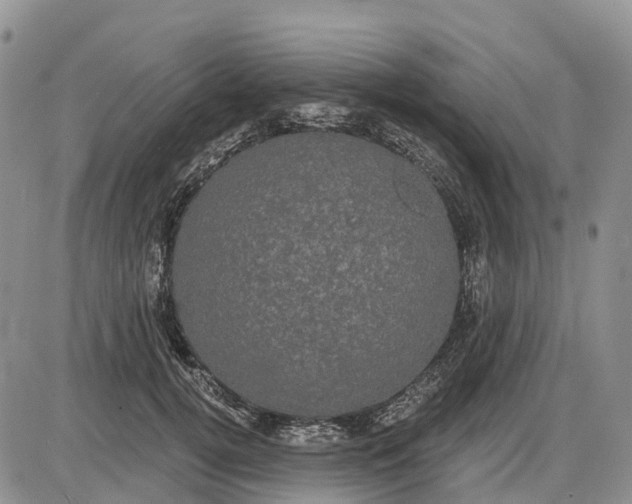 X0000085040752200703191233