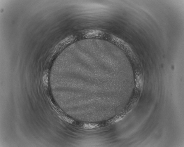 X0000085040753200703191233