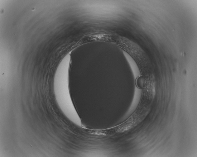 X0000085040754200703191233