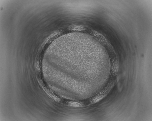 X0000085040755200703191233