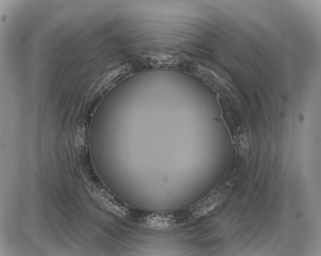 X0000085040756200703191233