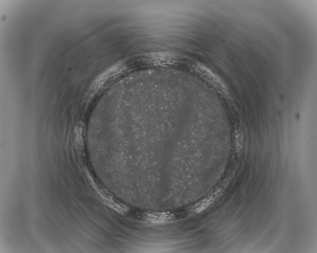 X0000085040757200703191233