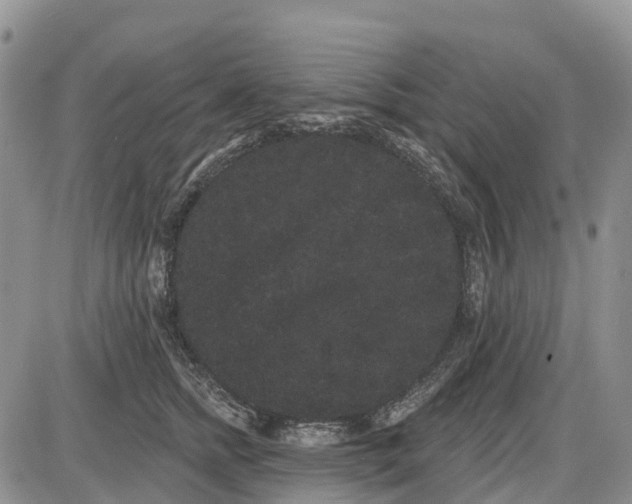 X0000085040758200703191233