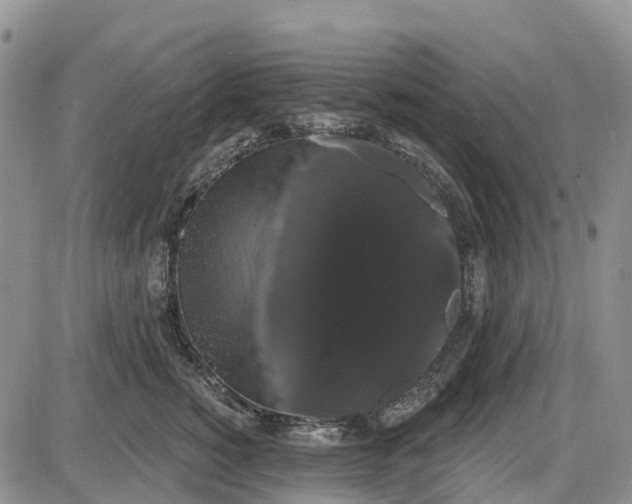 X0000085040760200703191233