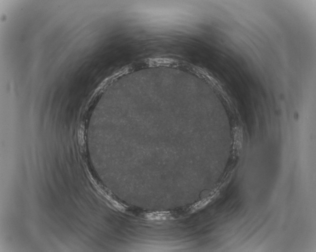 X0000085040761200703191233