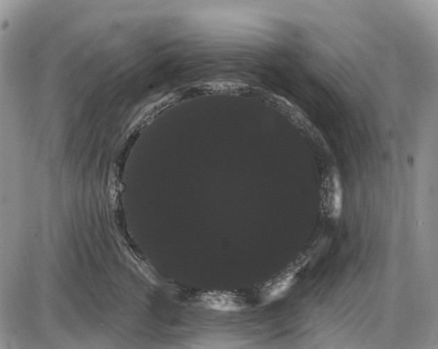 X0000085040762200703191233