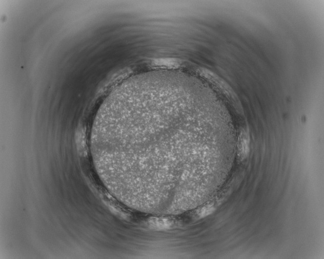 X0000085040764200703191233