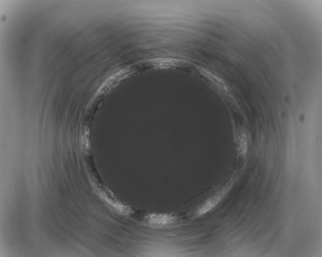 X0000085040766200703191233