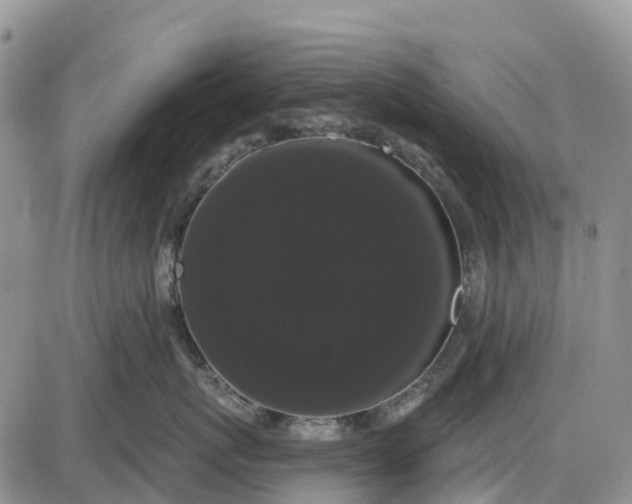 X0000085040767200703191233