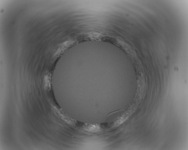 X0000085040768200703191233