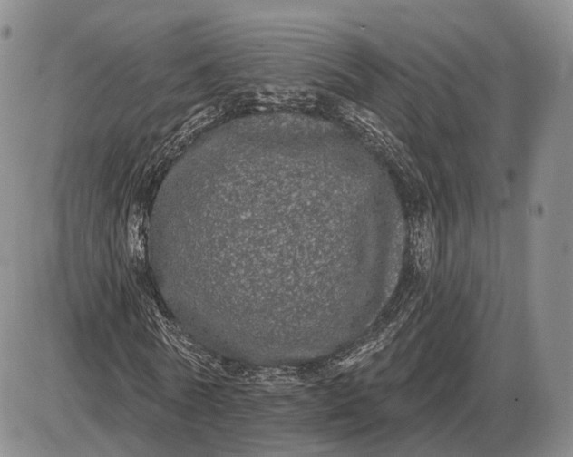 X0000085040770200703191232