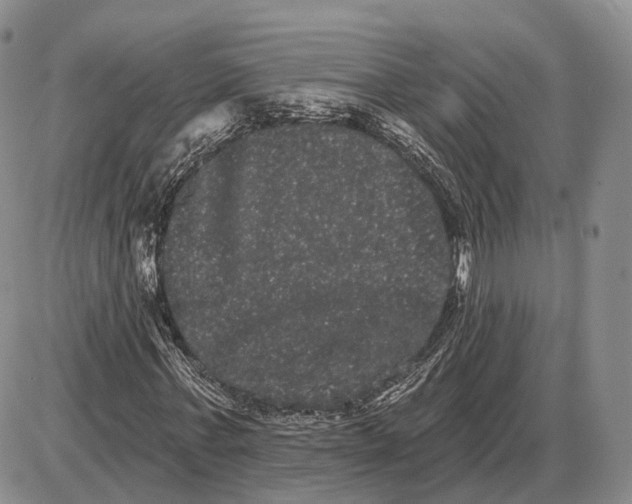 X0000085040771200703191232