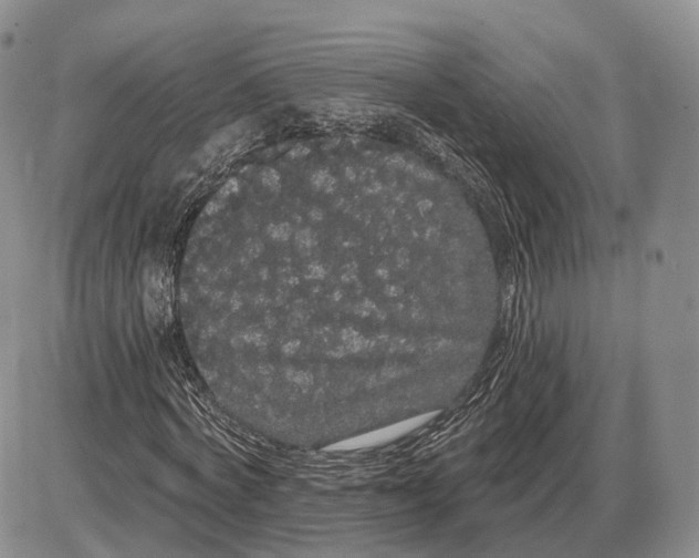 X0000085040772200703191232