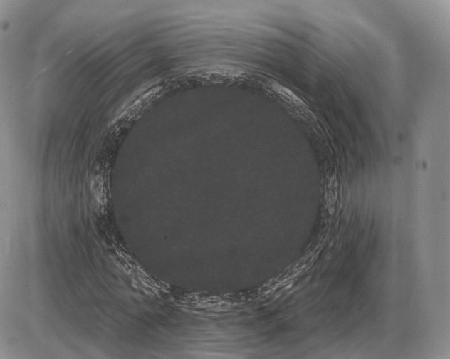 X0000085040774200703191232