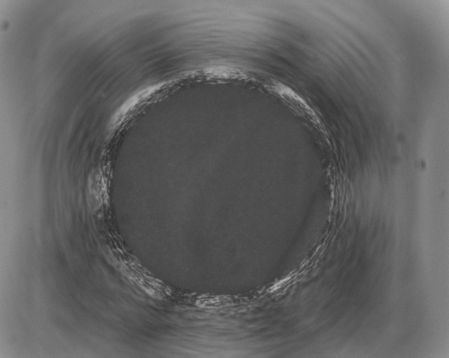 X0000085040776200703191232