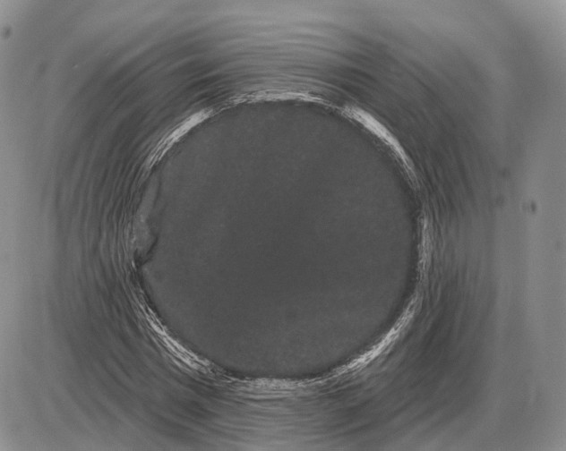 X0000085040777200703191232