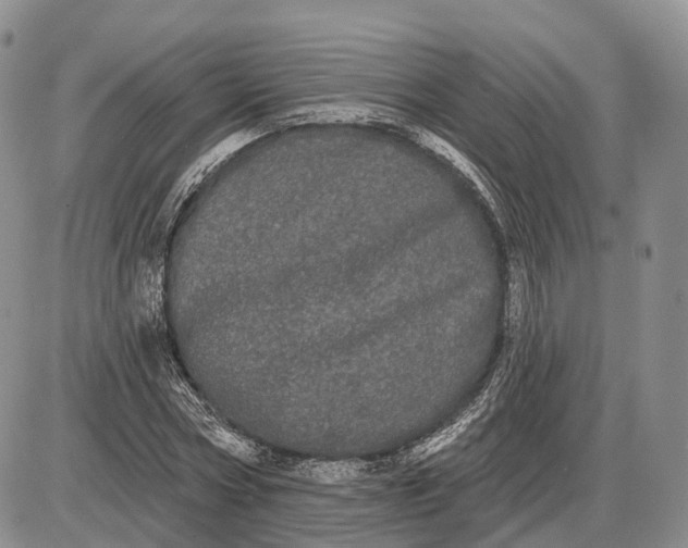 X0000085040778200703191232