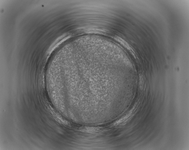 X0000085040782200703191232