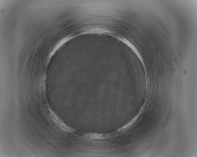 X0000085040783200703191232