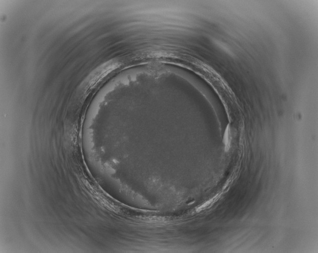 X0000085040785200703191232