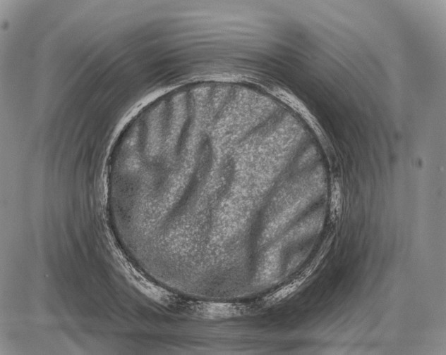 X0000085040787200703191232