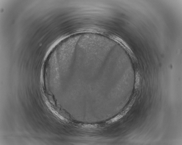 X0000085040788200703191232