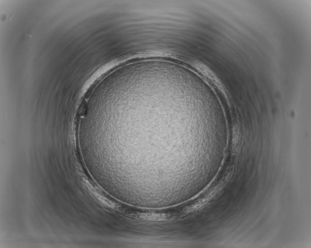 X0000085040789200703191232