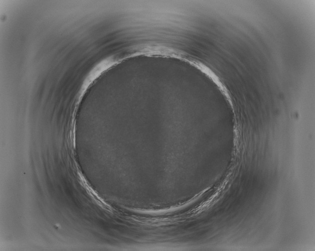 X0000085040791200703191232