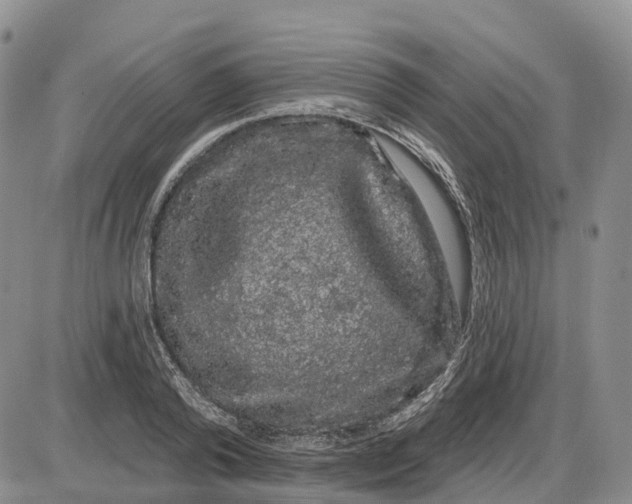 X0000085040792200703191232