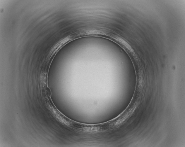 X0000085040793200703191232