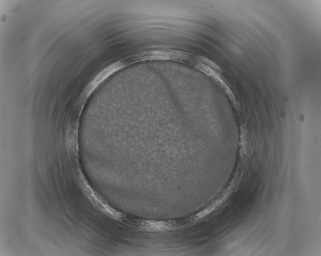 X0000085040794200703191232