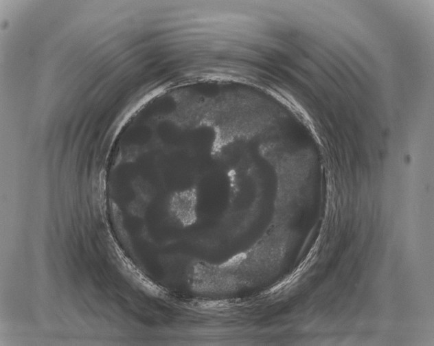 X0000085040798200703191232