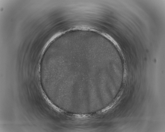 X0000085040799200703191232