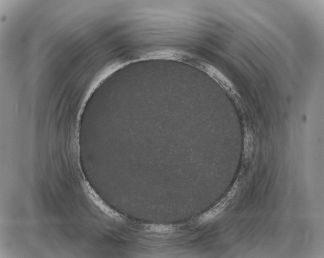 X0000085040800200703191232